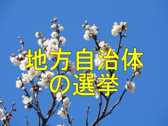 地方自治体の選挙情報